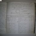 tafel_Allemon-Bruneel